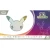 Pokémon TCG: 30th Celebration – Ultra-Premium Collection – Night (Umbreon ex)