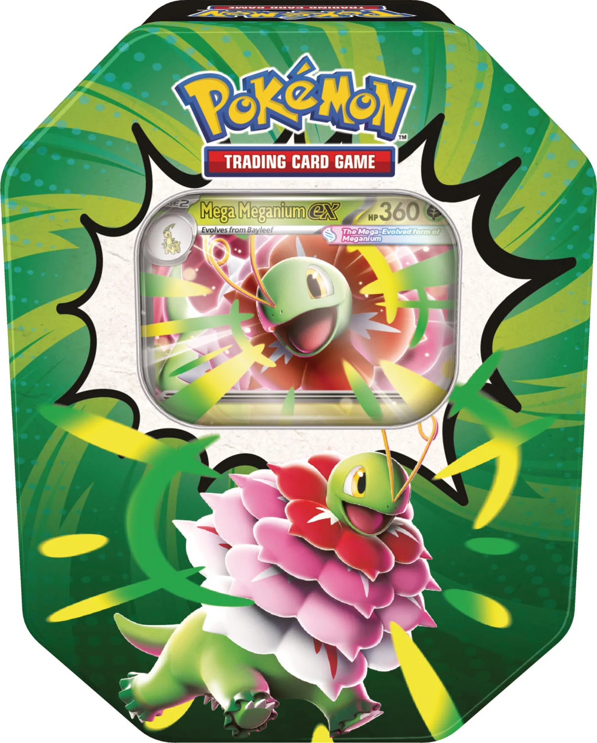 Ascended Heroes Tin Mega Meganium ex Pokemon TCG
